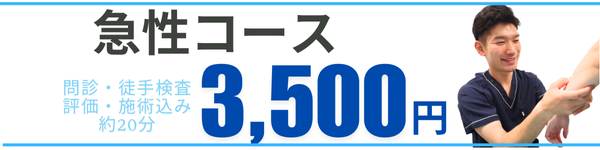 整体40